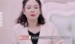 明星夫妻吵架爆料视频,激烈对峙引网友热议